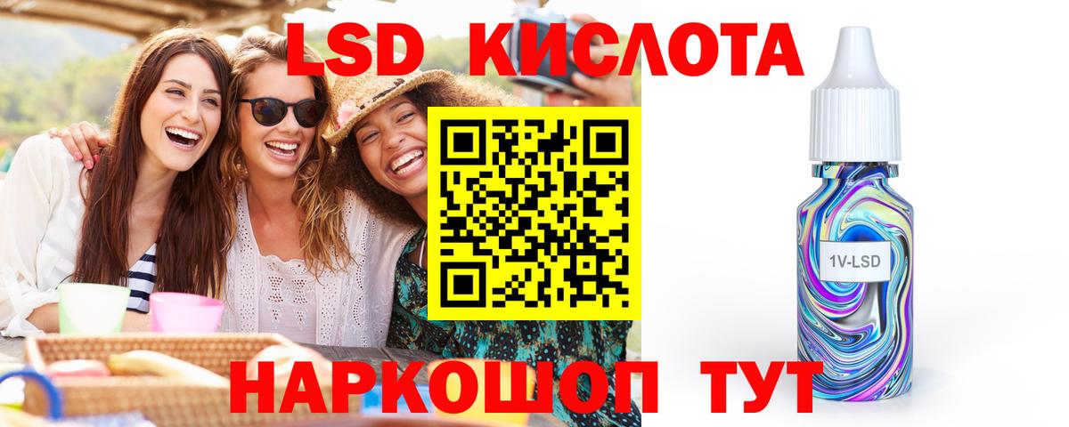 Бошки Шишки Дедовск
