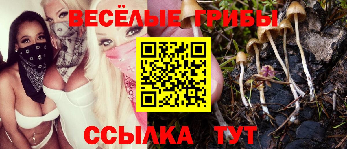 Псилоцибиновые грибы ЛСД  Псилоцибиновые грибы мухоморы  Дедовск  Вход с VPN 